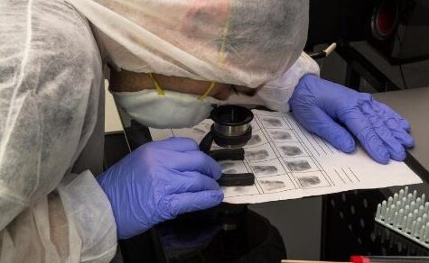 Gegen das Vergessen: Wie moderne Forensik die Identifizierung namenloser Toter erleichtert