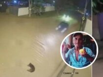 Keine Überlebenschance: Raser-Wahnsinn löscht Leben von Senior und Hund in Sekunden aus