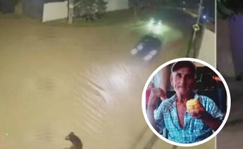 Keine Überlebenschance: Raser-Wahnsinn löscht Leben von Senior und Hund in Sekunden aus