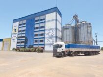 Campo 9: Versuchter Überfall mit Geiselnahme in einem mennonitischen Unternehmen