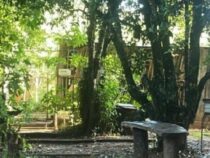 Von Berlin in die paraguayische Natur: Entspannung und Handpan-Klänge mit Bastian Gips