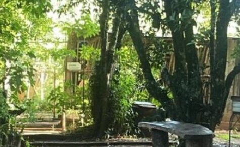 Von Berlin in die paraguayische Natur: Entspannung und Handpan-Klänge mit Bastian Gips