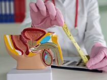 Die Größe des Penis und ihre doppelte Wirkung: Attraktiv für Frauen, bedrohlich für Männer