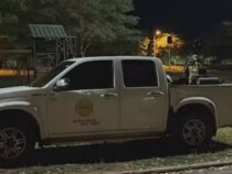 Giftnebel im Park: Behörden starten Begasung – Was Besucher jetzt wissen müssen