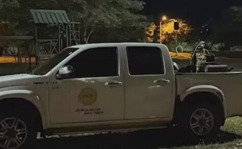 Giftnebel im Park: Behörden starten Begasung – Was Besucher jetzt wissen müssen