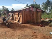 Mutter muss zusehen: Sohn stirbt durch heftigen Stromschlag bei Elektro-Arbeiten