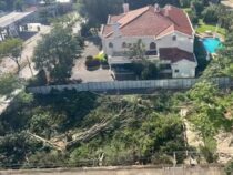 „Grüne Lunge“ in Trinidad gefällt, um eine Tankstelle gegenüber einer bereits bestehenden zu bauen