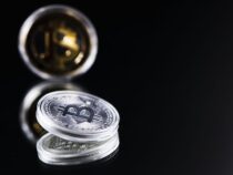 Typische Anfängerfehler von Krypto-Tradern