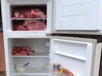 Illegale Schlachtung: Vorarbeiter mit 27 kg Rindfleisch verhaftet