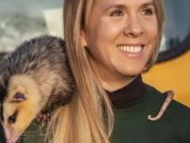 Lorena Knöpfelmacher: Die Schutzheilige der paraguayischen Beutelratten