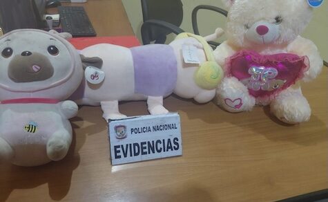 Verliebter Dieb mit Teddybären verhaftet