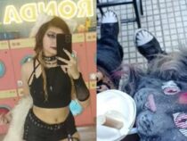 Niemand ist sicher vor dem Trend: Warum sich junge Erwachsene jetzt Schwänze anbinden