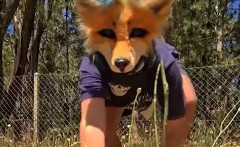 Psychologin warnt vor dem Verlust der menschlichen Verbindung angesichts des Booms der „Therians“