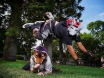 „So sollte man mit Menschen sprechen, die sich als Therians identifizieren“