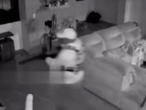 Vermummte überfallen Familie im Schlaf