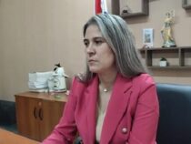 Schuss auf Hund: 67-Jährigen wegen Tierquälerei angeklagt