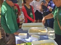 Schutz der Wasserquellen: Warum die ANDE jetzt Seife aus Altöl herstellt