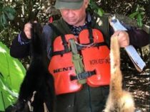 Grausamkeit ohne Grenzen: Affenköpfe für schwarze Magie verkauft