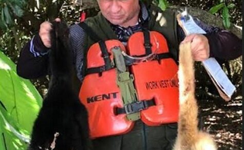 Grausamkeit ohne Grenzen: Affenköpfe für schwarze Magie verkauft