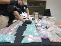 Die größte Ecstasy-Beschlagnahme in Paraguay: Welche Risiken und Auswirkungen hat der Konsum?