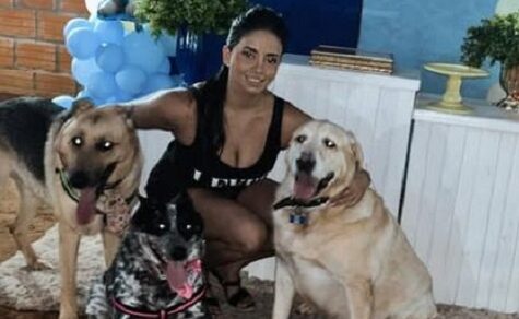 Kein Vergnügen, sondern Tierquälerei: Warum das neue Gesetz die Gesellschaft spaltet