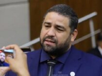 Betonwüsten adé: Neues Gesetz will Städte mit Bäumen abkühlen