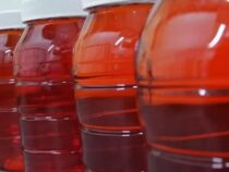 Labor-Rohstoffe für Deutschland und Frankreich: Paraguays neuer Export-Schlager