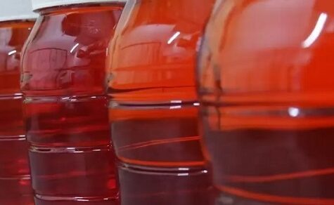 Labor-Rohstoffe für Deutschland und Frankreich: Paraguays neuer Export-Schlager