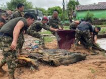 Klimanotstand in Paraguay: Militärhilfe für Flutopfer angelaufen