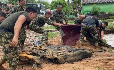 Klimanotstand in Paraguay: Militärhilfe für Flutopfer angelaufen