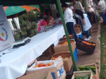 Die grüne Revolution von Sudetia: Wie Kleinbauern und Ministerium die Produktion sichern