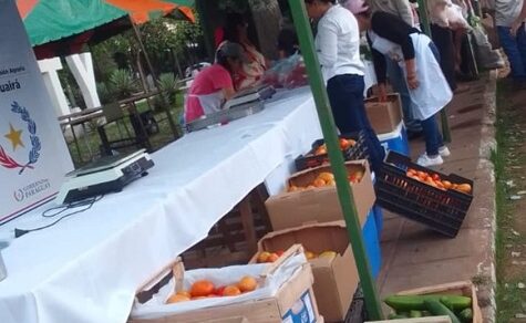 Die grüne Revolution von Sudetia: Wie Kleinbauern und Ministerium die Produktion sichern