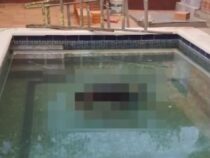 Maurer stirbt nach Sturz in einen Pool während der Arbeit in einer Quinta