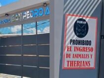 Trend-Verbot an Schulen: “Therians“ müssen draußen bleiben