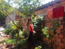 Todesfalle Wäscheleine: Ein falscher Griff beendete ihr Leben