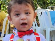 Vom Dorf in die Schlagzeilen: Ein kleiner Junge mit großem Verstand