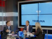 Vom Chaco bis zum Weltmarkt: Deutschlands neuer Blick auf Paraguay