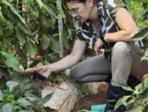 Kampf gegen den Klimawandel: Hightech-Lösung für Wassersparen im Feldtest