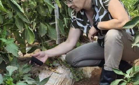 Kampf gegen den Klimawandel: Hightech-Lösung für Wassersparen im Feldtest