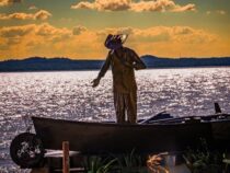 Wo Musik auf Natur trifft: Ein neues kulturelles Highlight am Seeufer