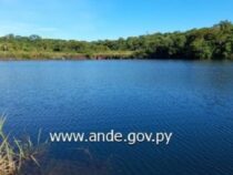 Illegale Rodung am Yguazú-Staudamm: Justiz verurteilt drei Männer