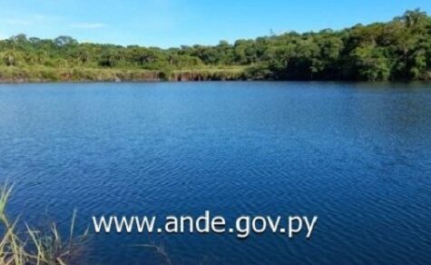 Illegale Rodung am Yguazú-Staudamm: Justiz verurteilt drei Männer