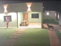 Panik-Flucht durchs Fenster: Mutige Bewohnerin schlägt Einbrecher-Trio in die Flucht