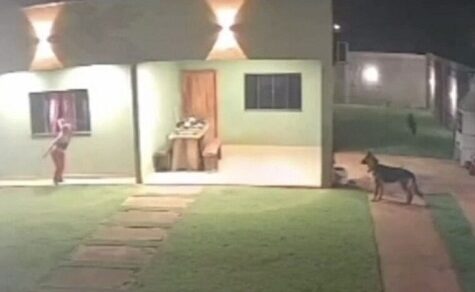 Panik-Flucht durchs Fenster: Mutige Bewohnerin schlägt Einbrecher-Trio in die Flucht