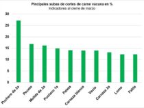 Preisschock an der Fleischtheke: Beliebte Teilstücke werden zum Luxusgut