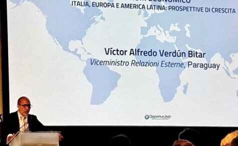 Saubere Produktion: Warum Paraguay in Europa für sein Fleisch und Leder kämpft
