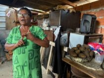 Knoblauch-Trick gegen Gestank: Die erschütternde Realität in unseren Gemeinschaftsküchen