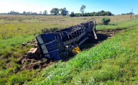 Massenschlachtung an der Fernstraße: 1.000 Menschen stürzen sich auf verunglückte Rinder