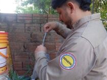 Jagd auf die Mücke: SENEPA weitet Überwachung in Itapúa massiv aus