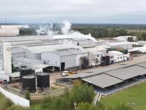 Fleischexporteur FriCon: Moody’s senkt Ausblick auf “Negativ“